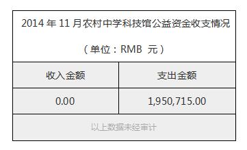 2014年11月农村中学科技馆公益资金收支情况.jpg
