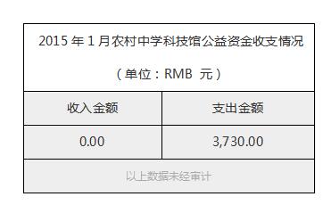 2015年1月农村中学科技馆公益资金收支情况.jpg