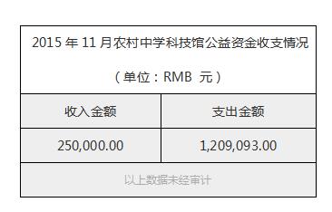2015年11月农村中学科技馆公益资金收支情况.jpg